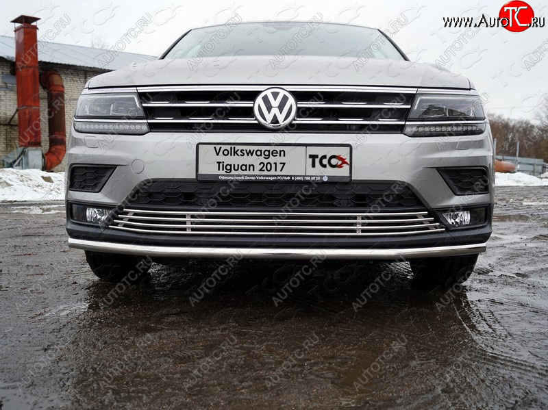 7 349 р. Нижняя декоративная вставка в бампер ТСС Тюнинг  Volkswagen Tiguan  Mk2 (2016-2020) дорестайлинг (d 12 мм)  с доставкой в г. Королёв