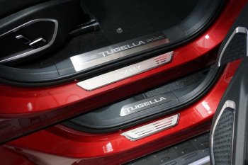 Накладки на пластиковые пороги, ТСС Тюнинг Geely (Джили) Tugella (тугелла)  FY11,HPBA4 (2019-2025) FY11,HPBA4 дорестайлинг, рестайлинг