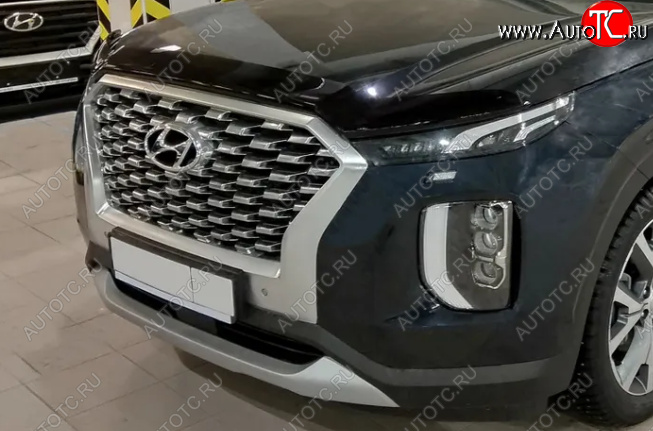 3 169 р. Дефлектор капота SIM Hyundai Palisade LX2 (2018-2022)  с доставкой в г. Королёв