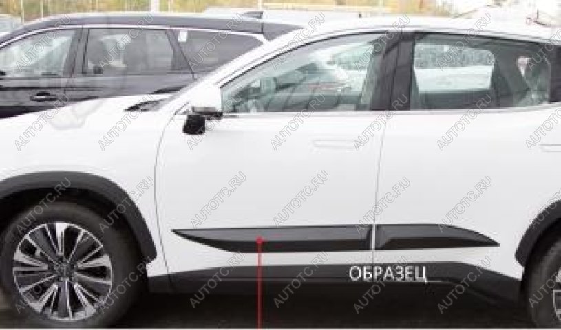 1 489 р. Молдинг двери передний правый Русская Артель  KIA Soul  PS (2017-2019) рестайлинг (шагрень)  с доставкой в г. Королёв