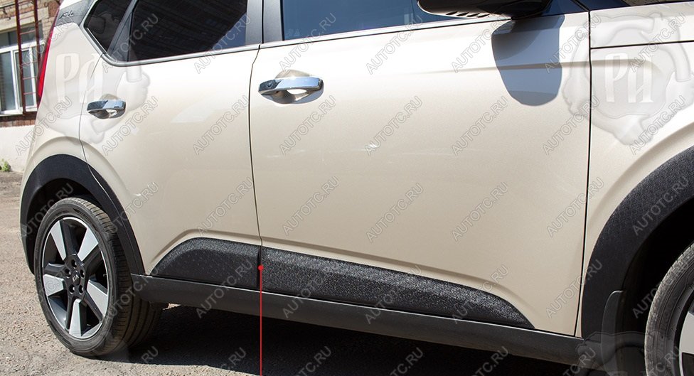 789 р. Молдинг двери задний правый Русская Артель  KIA Soul  SK3 (2018-2022) (шагрень)  с доставкой в г. Королёв