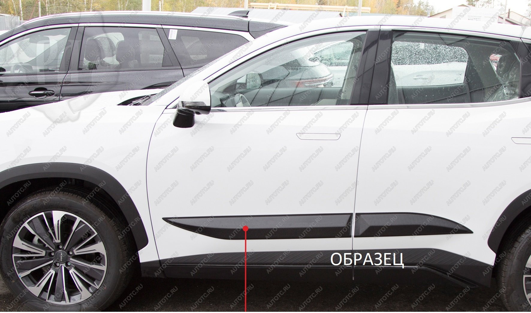 959 р. Молдинг двери задний правый Русская Артель  Mazda 3/Axela  BK (2006-2009) рестайлинг седан (глянец под покраску)  с доставкой в г. Королёв