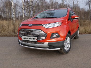 12 999 р. Защита переднего бампера нижняя d60,3 мм ТСС Тюнинг Ford EcoSport дорестайлинг (2013-2019) (нержавейка)  с доставкой в г. Королёв. Увеличить фотографию 1