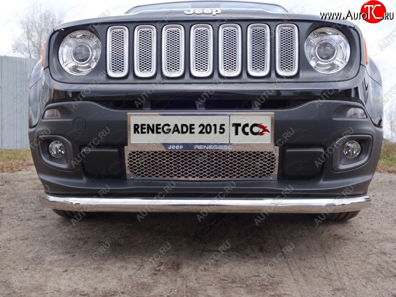 1 000 000 р.  ТСС Тюнинг JEEPRenegade 4WD 2015- - Решетка радиатора верхняя (лист)  jeepren4wd1507  с доставкой в г. Королёв