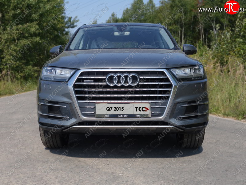 6 249 р. Рамка гос. номера ТСС Тюнинг  Audi Q7  4M (2015-2020) дорестайлинг (нержавейка)  с доставкой в г. Королёв