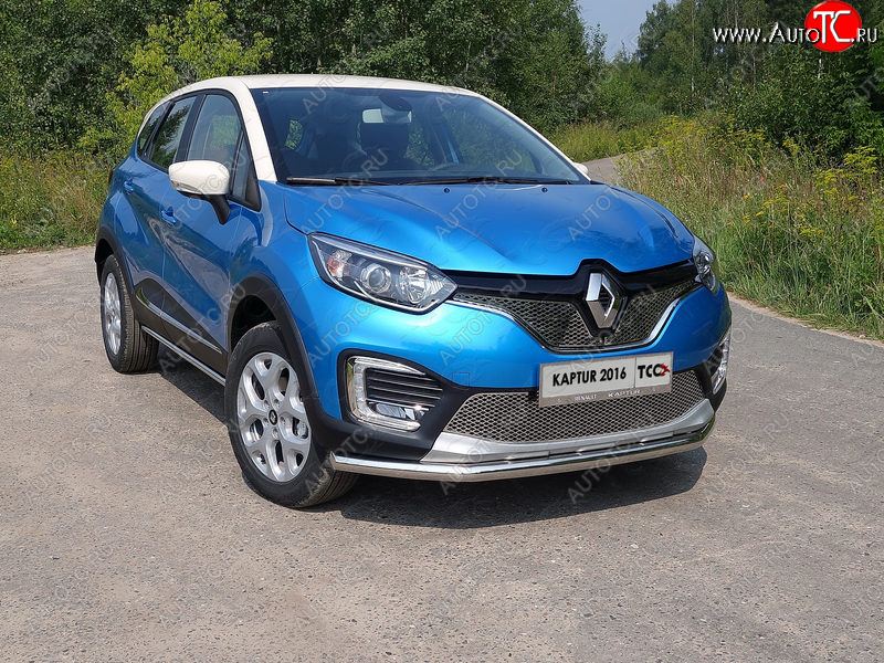 6 449 р. Рамка гос. номера ТСС Тюнинг  Renault Kaptur (2016-2020) дорестайлинг (нержавейка)  с доставкой в г. Королёв