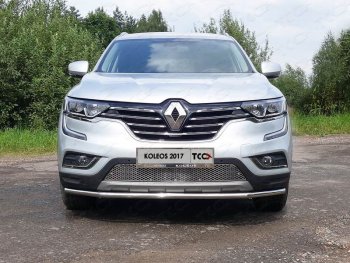 Рамка гос. номера ТСС Тюнинг Renault (Рено) Koleos (Колеос)  2 (2016-2025) 2 ()