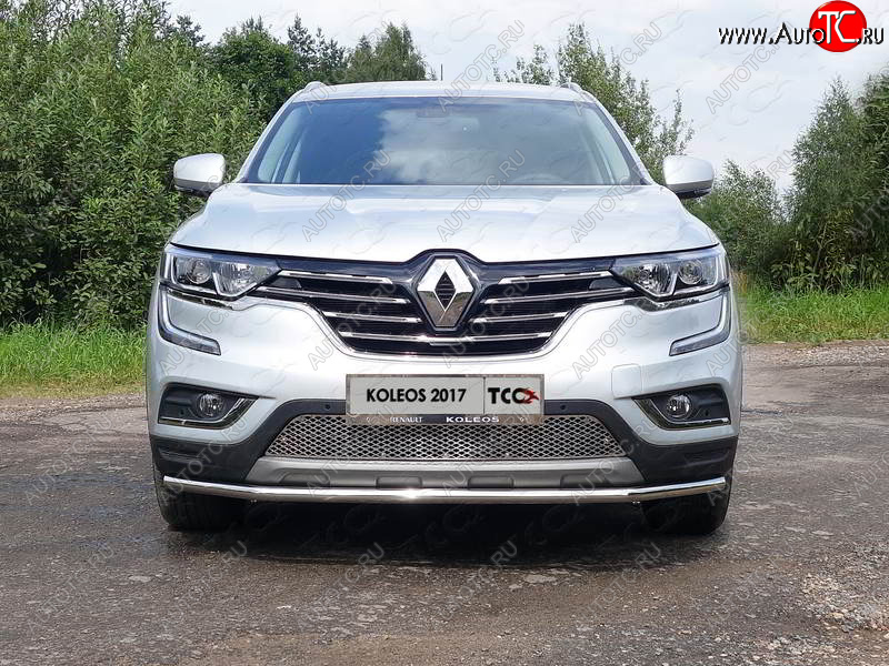 6 449 р. Рамка гос. номера ТСС Тюнинг  Renault Koleos  2 (2016-2025) (нержавейка)  с доставкой в г. Королёв