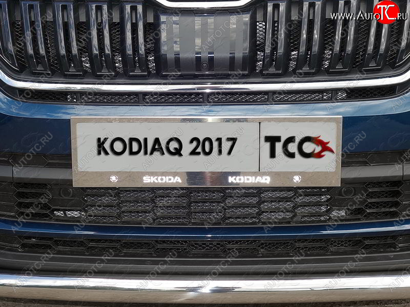 6 449 р. Рамка гос. номера ТСС Тюнинг Skoda Kodiaq NU7 дорестайлинг (2017-2021) (нержавейка)  с доставкой в г. Королёв