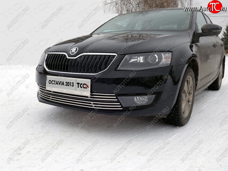 6 449 р. Рамка гос. номера ТСС Тюнинг  Skoda Octavia  A7 (2012-2017) дорестайлинг лифтбэк, дорестайлинг универсал (нержавейка)  с доставкой в г. Королёв