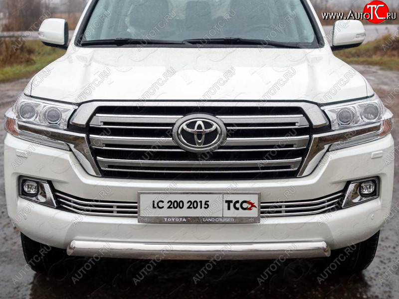 6 449 р. Рамка гос. номера ТСС Тюнинг Toyota Land Cruiser 200 2-ой рестайлинг (2015-2021) (нержавейка)  с доставкой в г. Королёв