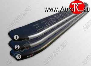 1 000 000 р.  Пороги алюминивые с пластиковой накладкой ТСС Тюнинг  Chevrolet Captiva (2011-2013) 1-ый рестайлинг (карбон серый)  с доставкой в г. Королёв