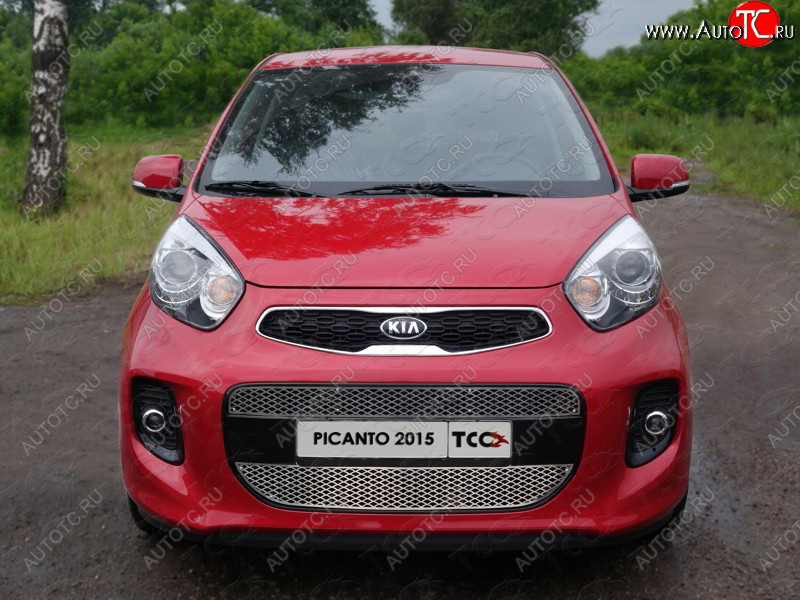 1 000 000 р.  ТСС Тюнинг KIAPicanto II 2011-2017 - Решетка радиатора средняя (лист)  kiapic1501  с доставкой в г. Королёв