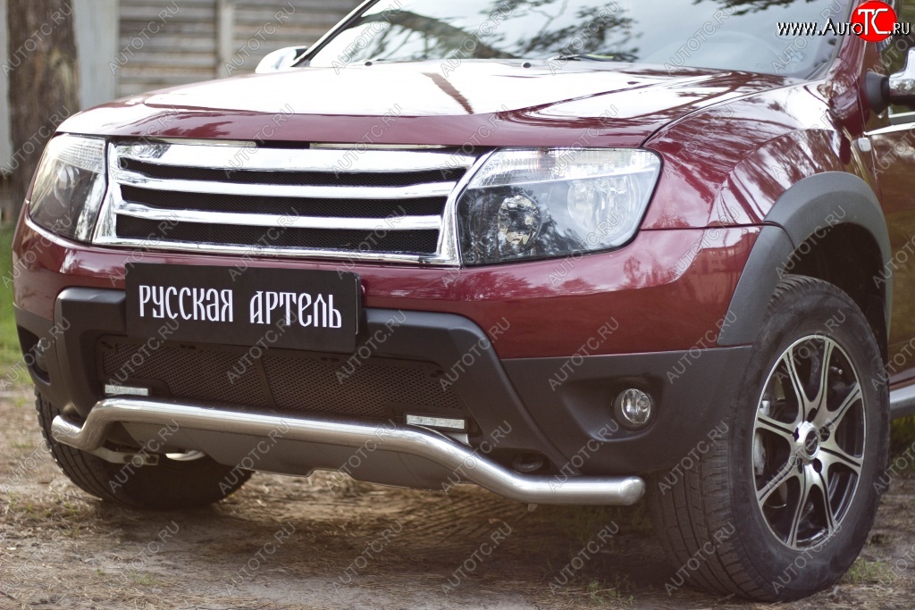 2 179 р. Защитная сетка решетки переднего бампера (c дхо и обвесом) РА Renault Duster HS дорестайлинг (2010-2015)  с доставкой в г. Королёв