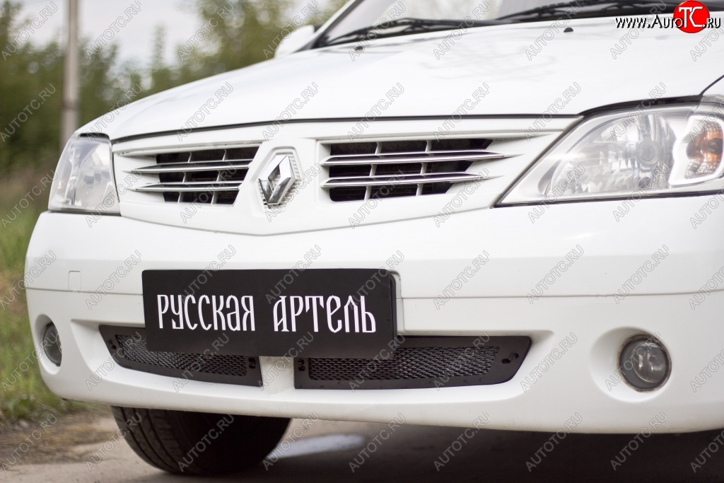 1 799 р. Защитная сетка решетки переднего бампера РА Renault Logan 1 дорестайлинг (2004-2010)  с доставкой в г. Королёв