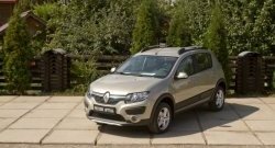 4 699 р. Молдинги дверей RA (комплект)  Renault Sandero  (B8) - Sandero Stepway  (B8) (Поверхность глянец (под окраску), Неокрашенные)  с доставкой в г. Королёв. Увеличить фотографию 2