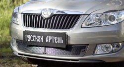 2 349 р. Защитная сетка решетки переднего бампера РА Skoda Fabia Mk2 хэтчбэк рестайлинг (2010-2014)  с доставкой в г. Королёв. Увеличить фотографию 1