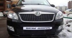 1 469 р. Сетка на бампер (рестайлинг) Russtal (черная) Skoda Fabia Mk2 универсал дорестайлинг (2007-2010)  с доставкой в г. Королёв. Увеличить фотографию 3