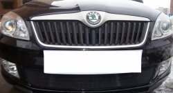 1 469 р. Сетка на бампер (рестайлинг) Russtal (черная) Skoda Fabia Mk2 универсал дорестайлинг (2007-2010)  с доставкой в г. Королёв. Увеличить фотографию 4