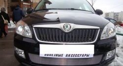 1 539 р. Сетка на бампер (рестайлинг) Russtal (хром) Skoda Fabia Mk2 хэтчбэк дорестайлинг (2007-2010)  с доставкой в г. Королёв. Увеличить фотографию 2