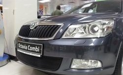 1 469 р. Сетка на бампер Russtal (черная) Skoda Octavia A5 рестайлинг универсал (2008-2013)  с доставкой в г. Королёв. Увеличить фотографию 2