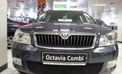 1 469 р. Сетка на бампер Russtal (черная) Skoda Octavia A5 рестайлинг универсал (2008-2013)  с доставкой в г. Королёв. Увеличить фотографию 3