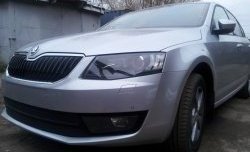 2 569 р. Сетка (для комплектации Ambition, Elegance) на бампер Russtal (черная)  Skoda Octavia  A7 (2012-2017) дорестайлинг лифтбэк, дорестайлинг универсал  с доставкой в г. Королёв. Увеличить фотографию 2