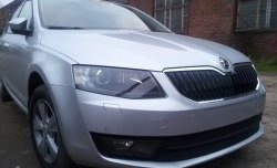 2 569 р. Сетка (для комплектации Ambition, Elegance) на бампер Russtal (черная)  Skoda Octavia  A7 (2012-2017) дорестайлинг лифтбэк, дорестайлинг универсал  с доставкой в г. Королёв. Увеличить фотографию 3