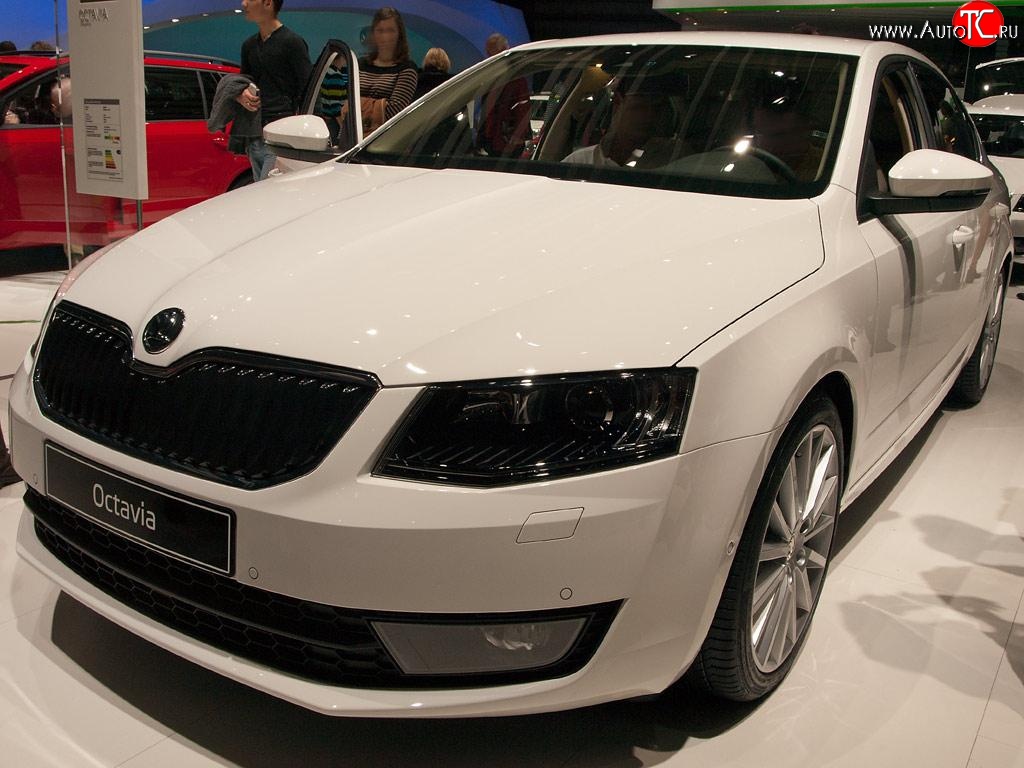 2 569 р. Сетка (для комплектации Ambition, Elegance) на бампер Russtal (черная)  Skoda Octavia  A7 (2012-2017) дорестайлинг лифтбэк, дорестайлинг универсал  с доставкой в г. Королёв