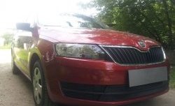 2 339 р. Сетка на бампер Russtal (черная) Skoda Rapid NH1 хэтчбэк дорестайлинг (2012-2017)  с доставкой в г. Королёв. Увеличить фотографию 3