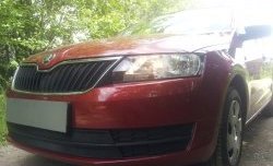 Сетка на бампер Russtal (черная) Skoda Rapid NH1 хэтчбэк дорестайлинг (2012-2017)