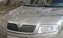 1 649 р. Реснички на фары CT Skoda Superb седан 3U дорестайлинг (2001-2006) (Неокрашенные)  с доставкой в г. Королёв. Увеличить фотографию 2