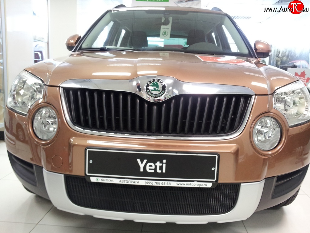 1 469 р. Сетка на бампер Russtal (черная) Skoda Yeti (2009-2013)  с доставкой в г. Королёв