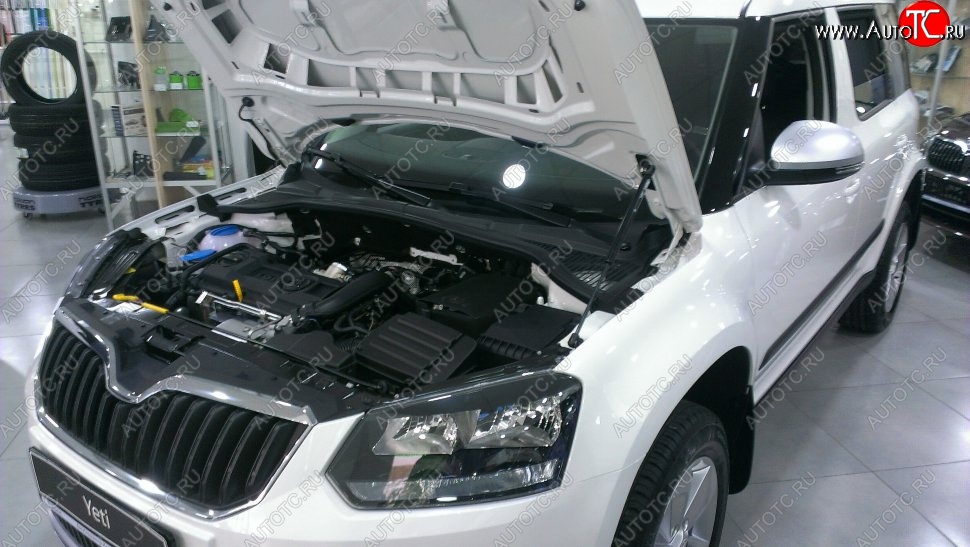 2 199 р. Газовый упор капота Berkut Skoda Yeti (2009-2013)  с доставкой в г. Королёв