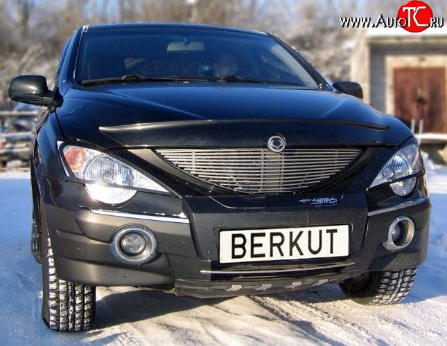 5 999 р. Декоративная вставка решетки радиатора Berkut SSANGYONG Actyon Sport (2006-2011)  с доставкой в г. Королёв