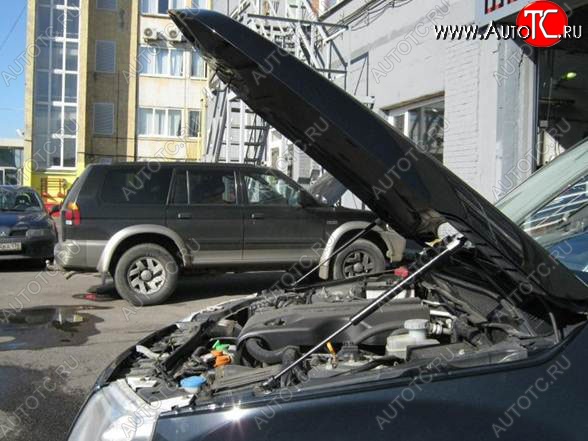 2 199 р. Газовые упоры капота Berkut Suzuki Grand Vitara JT 3 двери дорестайлинг (2005-2008)  с доставкой в г. Королёв