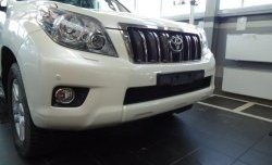 1 469 р. Сетка на бампер Russtal (черная) Toyota Land Cruiser Prado J150 дорестайлинг (2009-2013)  с доставкой в г. Королёв. Увеличить фотографию 1