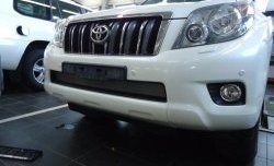 1 539 р. Сетка на бампер Russtal (хром)  Toyota Land Cruiser Prado  J150 (2009-2013) дорестайлинг  с доставкой в г. Королёв. Увеличить фотографию 2