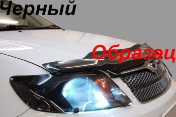 Защита фар CA-Plastiс Toyota Noah 1 дорестайлинг (2001-2004)