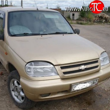 22 449 р. Капот Стандартный Chevrolet Niva 2123 рестайлинг (2009-2020) (Окрашенная)  с доставкой в г. Королёв