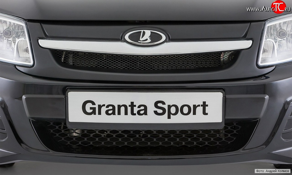 1 939 р. Решётка радиатора Granta Sport ВИС 2349 бортовой грузовик дорестайлинг (2012-2018) (Неокрашенная)  с доставкой в г. Королёв