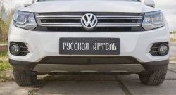 1 639 р. Защитная сетка решетки переднего бампера (Track & Field) РА Volkswagen Tiguan NF рестайлинг (2011-2017)  с доставкой в г. Королёв. Увеличить фотографию 2